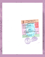 Dutch Apostille Dutch Apostille