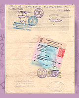Dutch Apostille Dutch Apostille