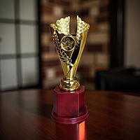 RC-CP1597C GOLD 21.5CM 18%