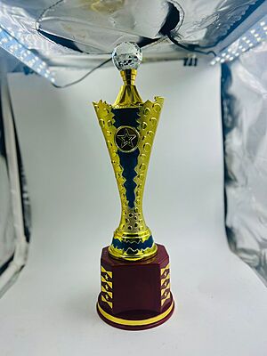 RC-CP1603B G/B 33.50CM