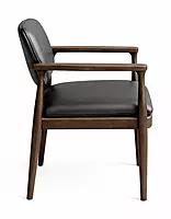 Fern Dining Arm Chair
