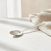 Silver Spoon 22g