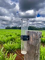 Rainfall Insurance Coverage