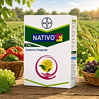 Bayer Nativo Fungicide | Vetrivel Agro Services