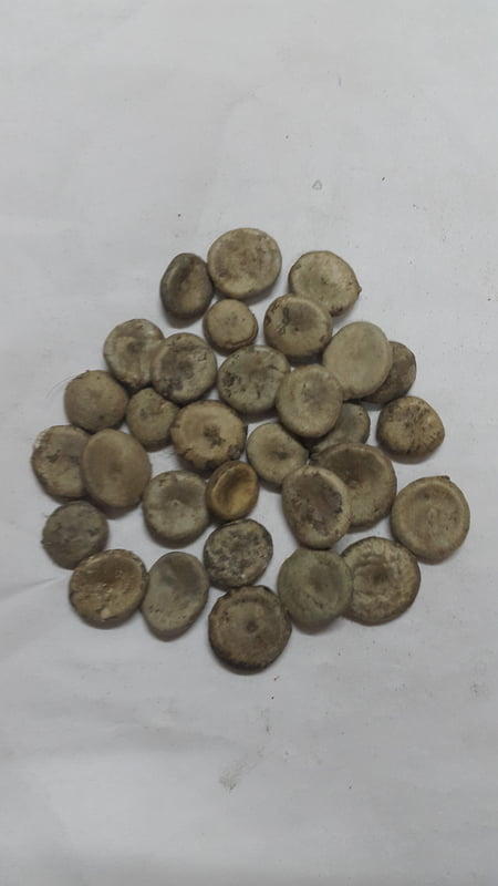 ETTI KOTTAI / NUX VOMICA