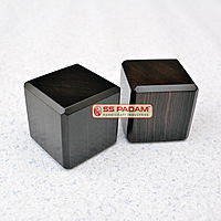 Black Ebony Wood Karungali Paperweight