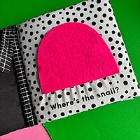 Cuddly Ladybird: Baby’s First Sensory Cloth Book