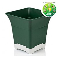 Elite Square Plastic Plant Pot with tray | 9.5 Inch | Indoor & Decorative Planter