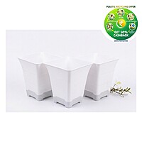 Elite Square Plastic Plant Pot with tray | 9.5 Inch | Indoor & Decorative Planter