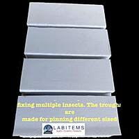 Insect Spreading Board for pinning multiple insects