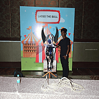 LASSO THE BULL
