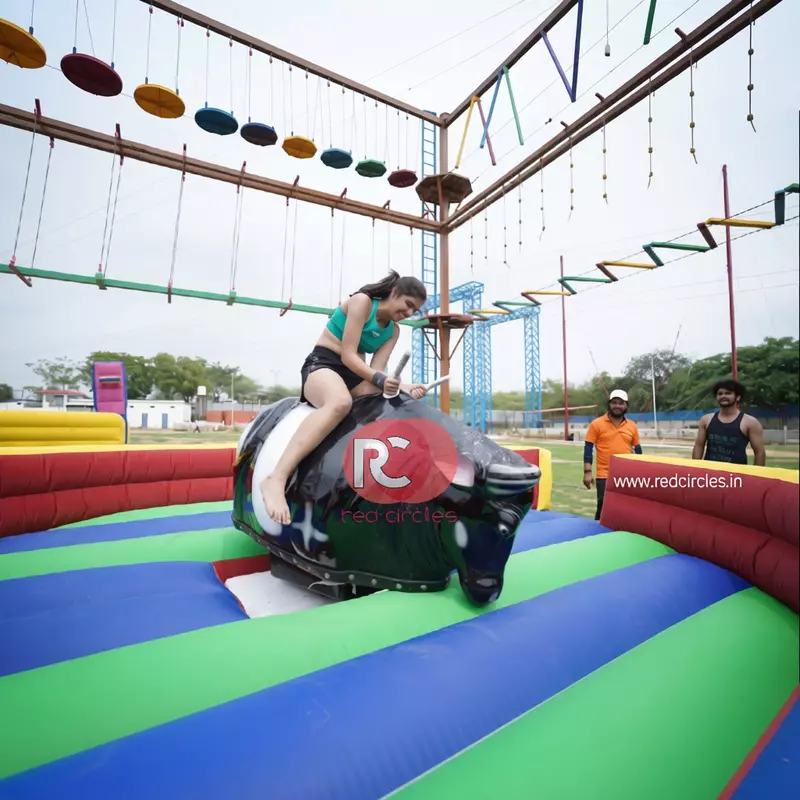 RODEO BULL
