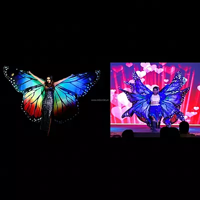 BUTTERFLY DANCE