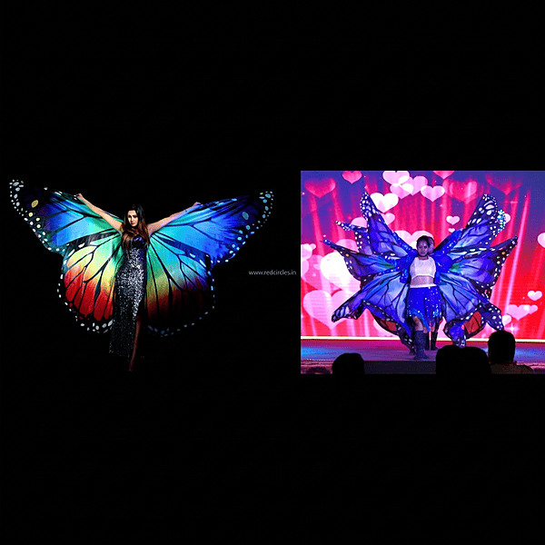 LED WINGS PERFORMANCE