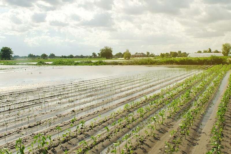 Crop Salvage & Post-Disaster Recovery Logistics