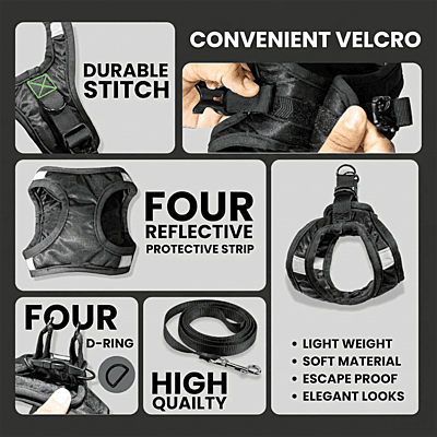 Cat Harness and Leash Set (velcro)-SMALL Cat Harness and Leash Set (velcro)-SMALL