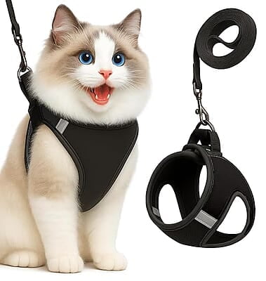 Cat Harness and Leash Set (velcro)-SMALL Cat Harness and Leash Set (velcro)-SMALL