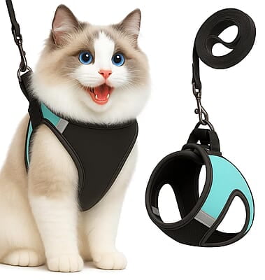 Cat Harness & Leash Set (velcro)-Medium