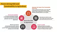 ESG & Climate Finance Structuring for Agri Enterprises
