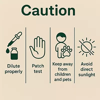 Lemongrass Essential Oil – Pure, Potent, and Uplifting