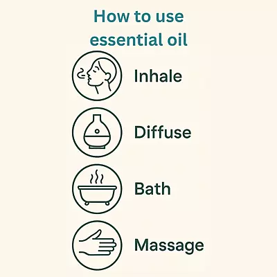 Rosemary Essential Oil – Pure & Therapeutic Grade (Lavandula Officinalis)