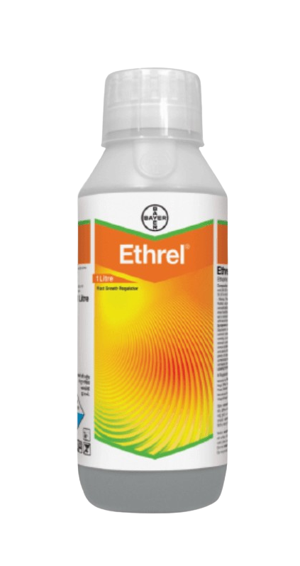 Ethrel by Bayer - Plant Growth Regulator