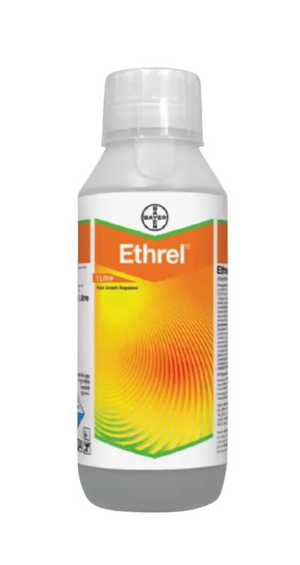 Ethrel by Bayer - Plant Growth Regulator