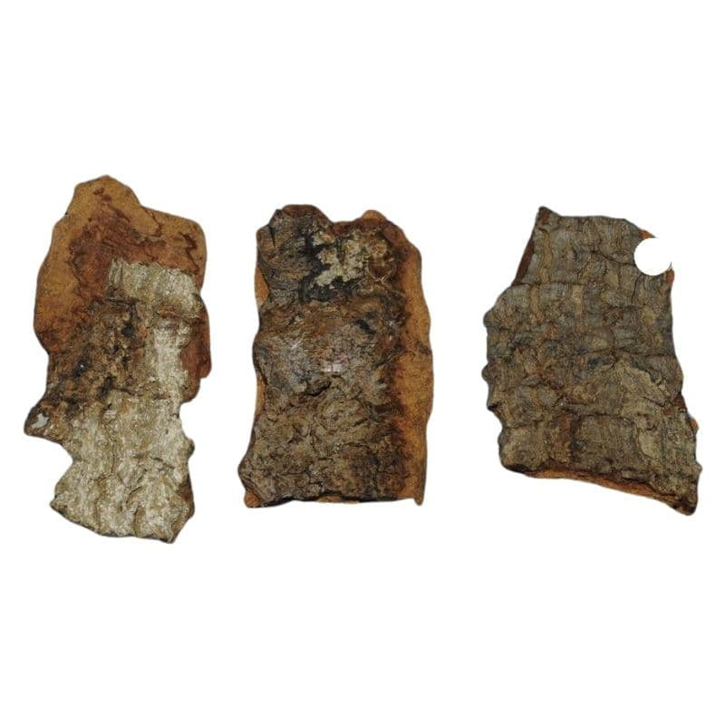 Etti Pattai / Nux Vomica Tree Bark Etti Pattai / Nux Vomica Tree Bark