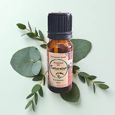 Eucalyptus Essential Oil – Pure, Natural, and Therapeutic Grade