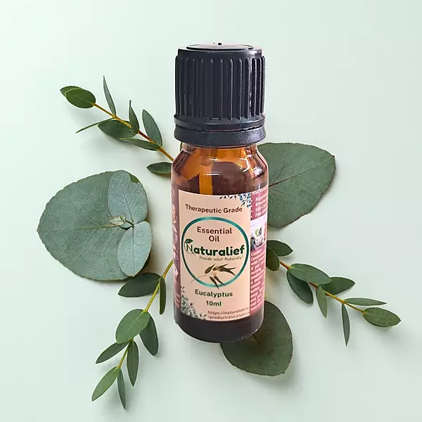 Eucalyptus Essential Oil – Pure, Natural, and Therapeutic Grade