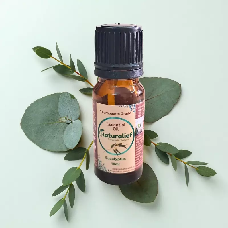 Eucalyptus Essential Oil – Pure, Natural, and Therapeutic Grade