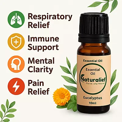 Eucalyptus Essential Oil – Pure, Natural, and Therapeutic Grade