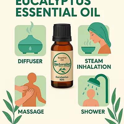 Eucalyptus Essential Oil – Pure, Natural, and Therapeutic Grade