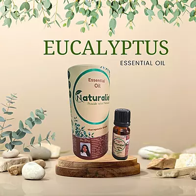 Eucalyptus Essential Oil – Pure, Natural, and Therapeutic Grade