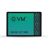 EVM 256GB SATA 2.5″ Internal SSD – Up to 550MB/s | Reliable Performance