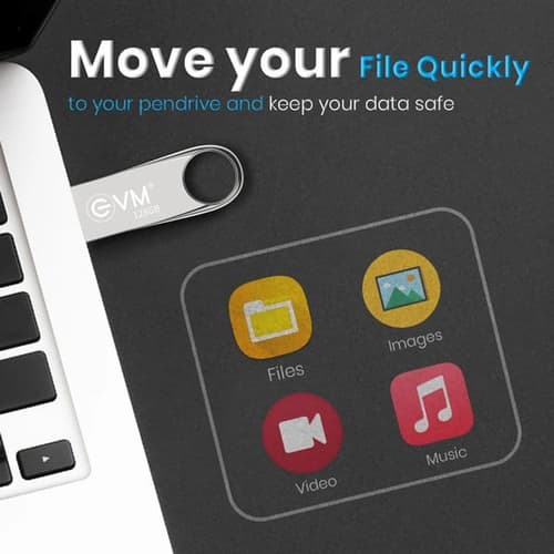 EVM EnVault 128GB USB 2.0 Pen Drive – High Capacity Storage | 10 Years Warranty