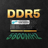 EVM 16GB DDR5 5600MHz CL19 Laptop RAM – SO-DIMM | 10 Years Warranty