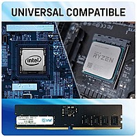 EVM 16GB DDR5 5600MHz CL19 Desktop RAM – UDIMM | 10 Years Warranty