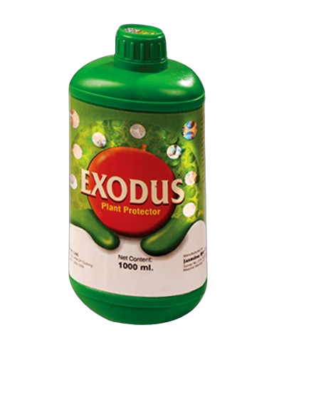 Exodus