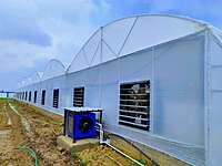 Polyhouse Constructions