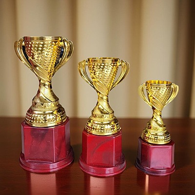 RC-CP1825A 20.5CM 18%