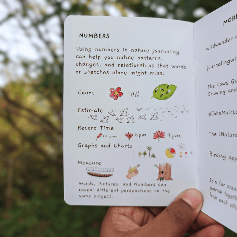 Nature Journaling Zine – Illustrated Pocket Guide to Observation and Curiosity