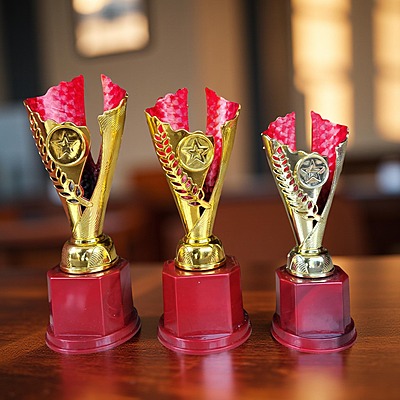 RC-CP1597A 26CM RED 18%