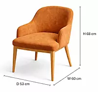 Lavaasa Arm Dining Chair