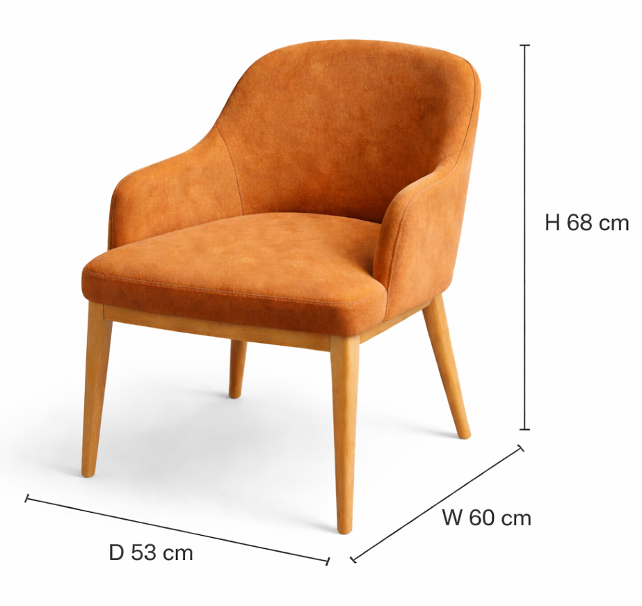 Lavaasa Arm Dining Chair