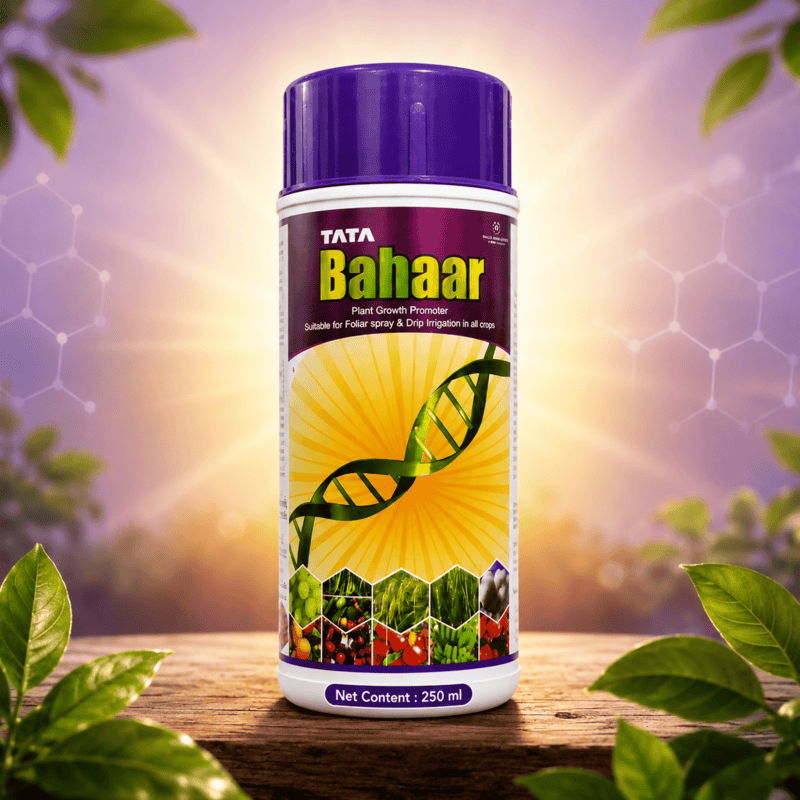 TATA Bahaar | TATA Rallis | Vetrivel Agro Services
