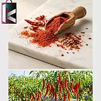 MIRCHI POWDER FAFDA 500GM