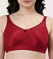 Enamor Hidden X-Frame and Smoothening Full Support Everyday Bra - Jiggle control, Non Padded, Wirefree, Full Coverage - FB12