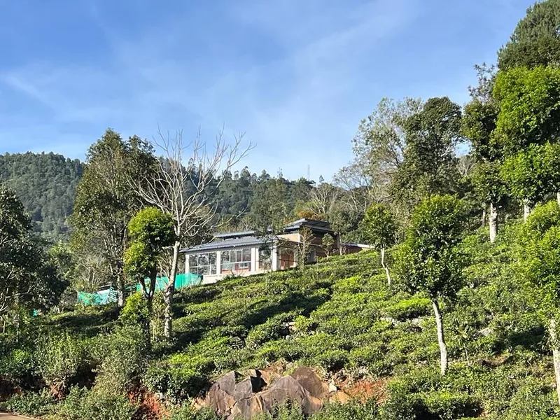 Vismaya's Masala Marinade Idukorai Kotagiri Nilgiris.