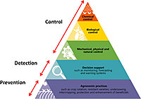 Horticulture Pest Management Service